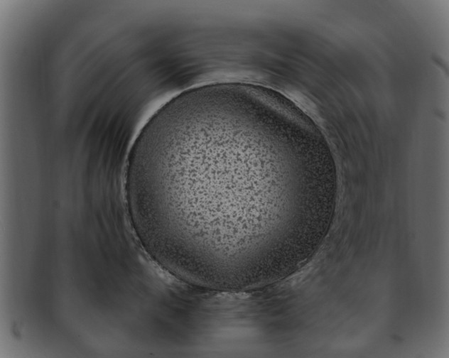 X0000091940912200709191418