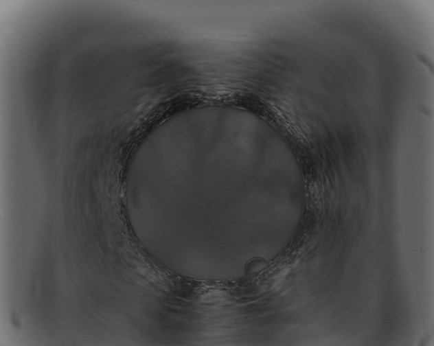 X0000091940913200709191417