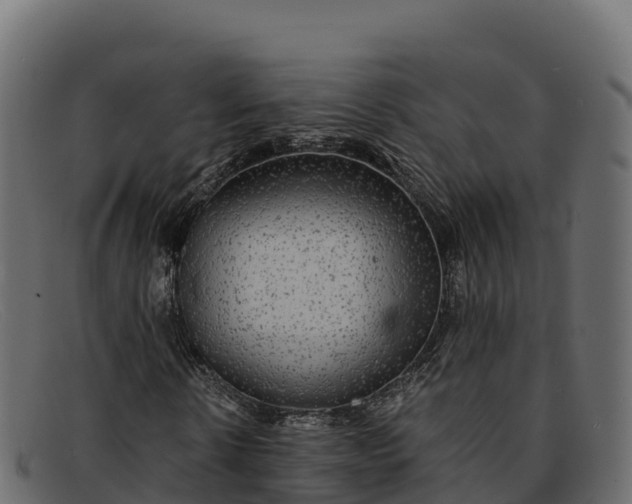 X0000091940914200709191417