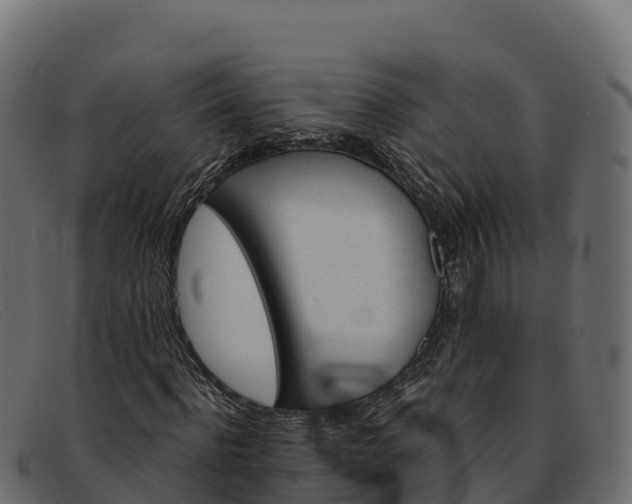 X0000091940916200709191417