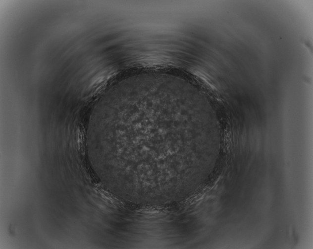 X0000091940917200709191417