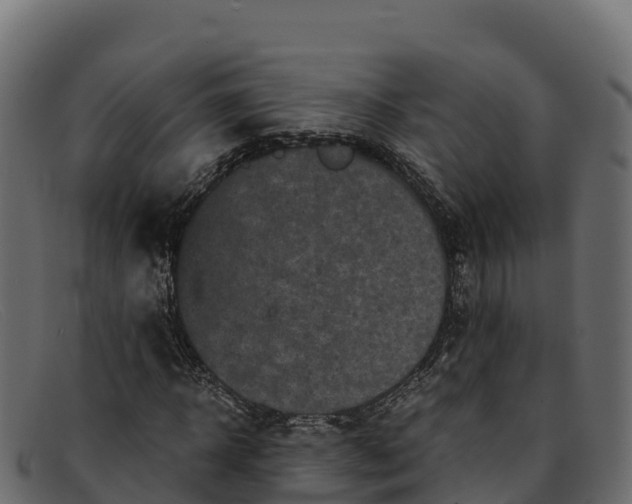 X0000091940918200709191417