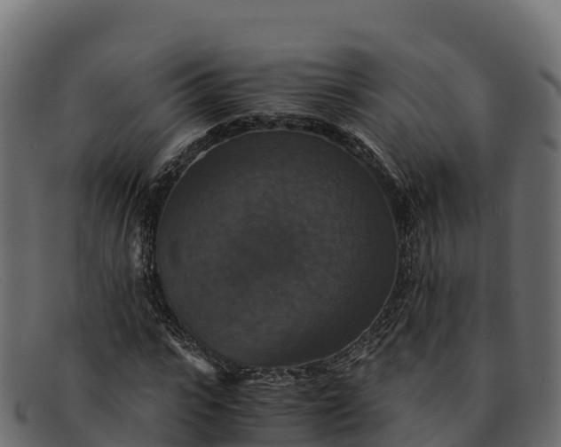 X0000091940919200709191417