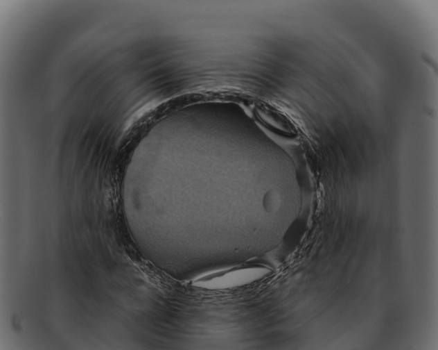 X0000091940920200709191417