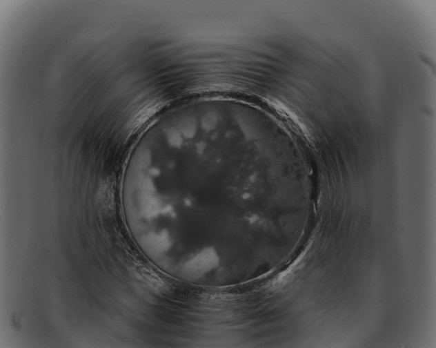 X0000091940921200709191417