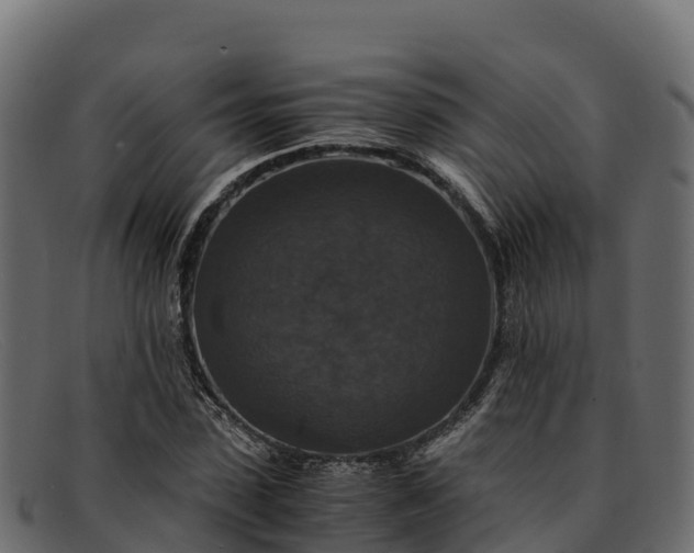 X0000091940923200709191417