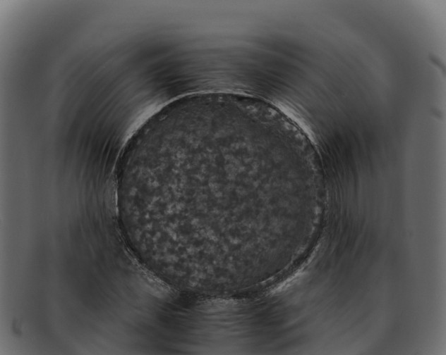 X0000091940925200709191417