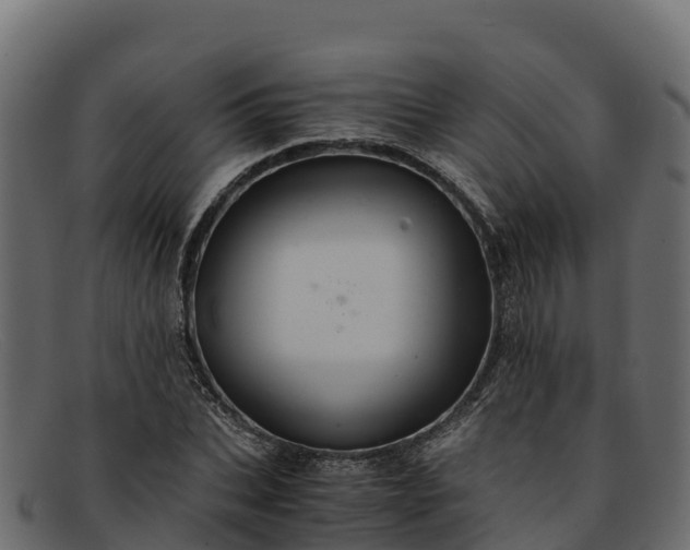 X0000091940927200709191417