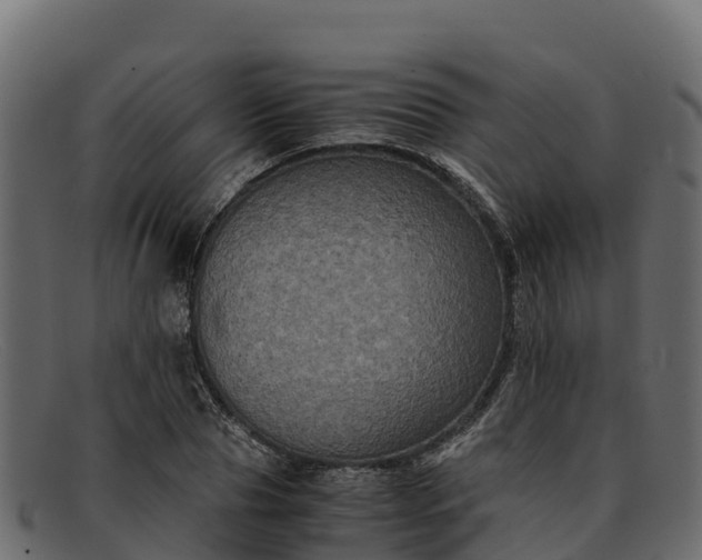 X0000091940929200709191417