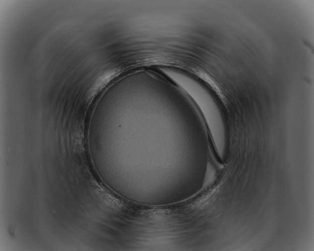 X0000091940930200709191417