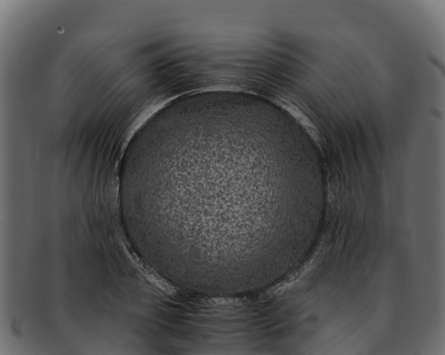 X0000091940933200709191417