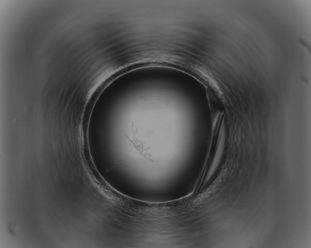 X0000091940936200709191417