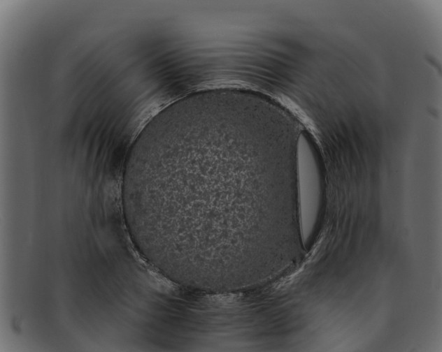 X0000091940937200709191417