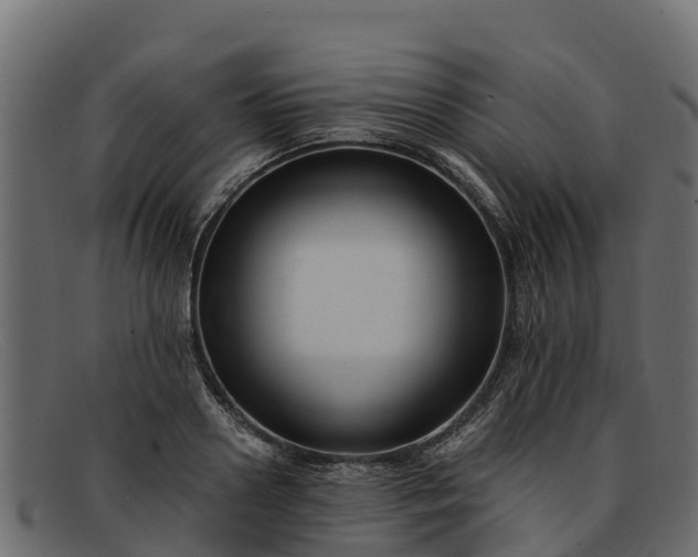 X0000091940938200709191417