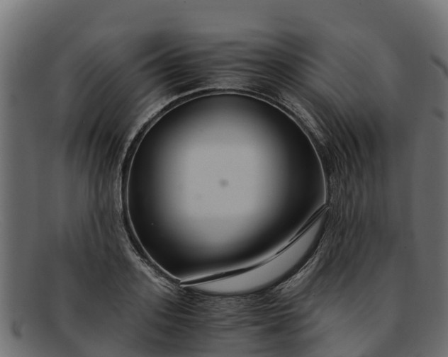 X0000091940939200709191417