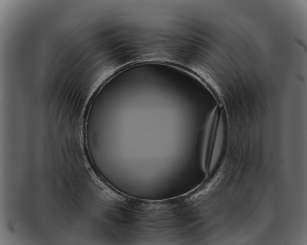 X0000091940941200709191417