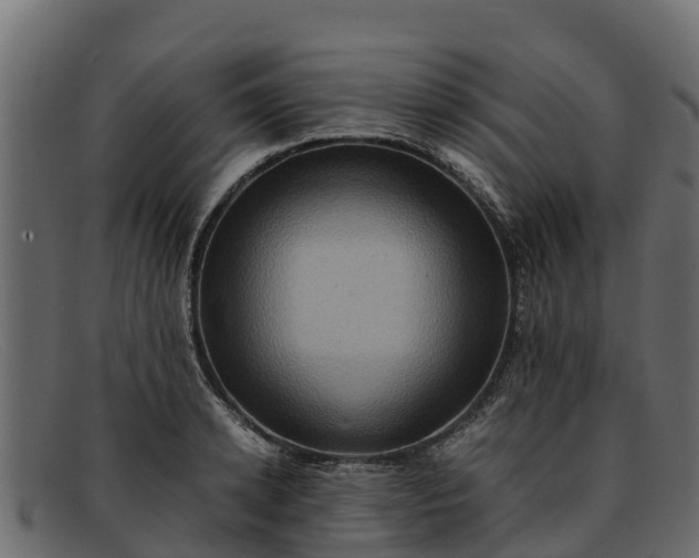 X0000091940942200709191417