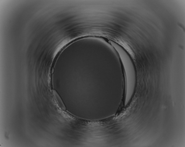 X0000091940944200709191417