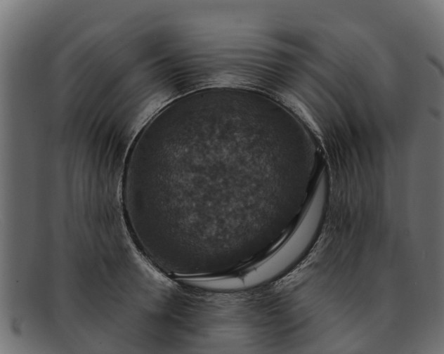 X0000091940946200709191417