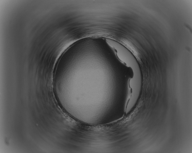 X0000091940948200709191417