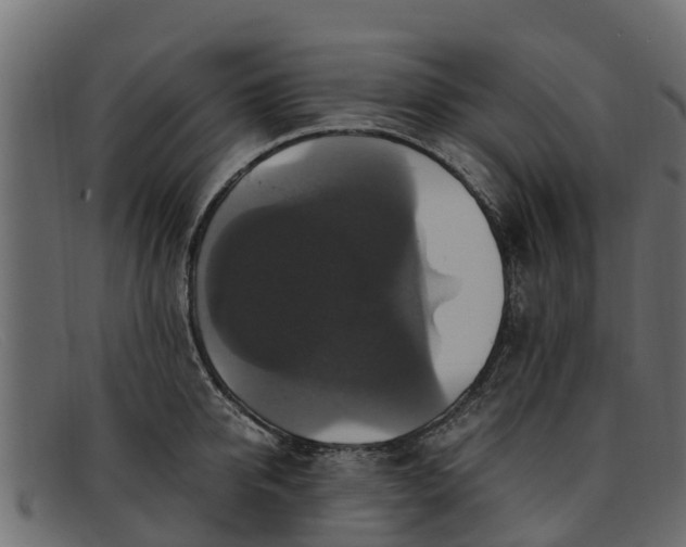 X0000091940950200709191417