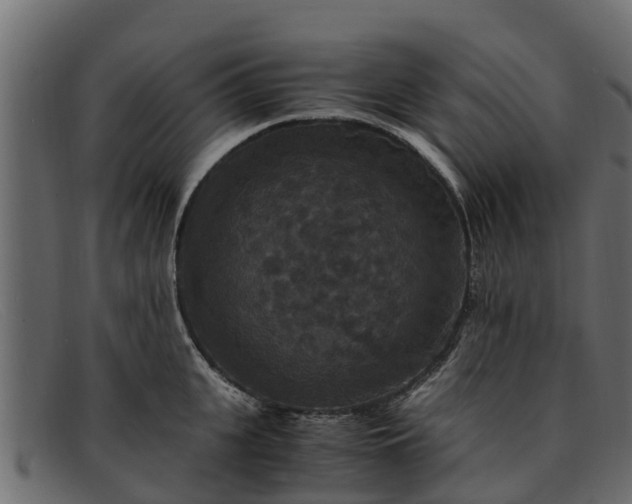 X0000091940951200709191417