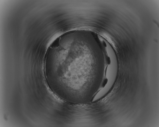 X0000091940952200709191417