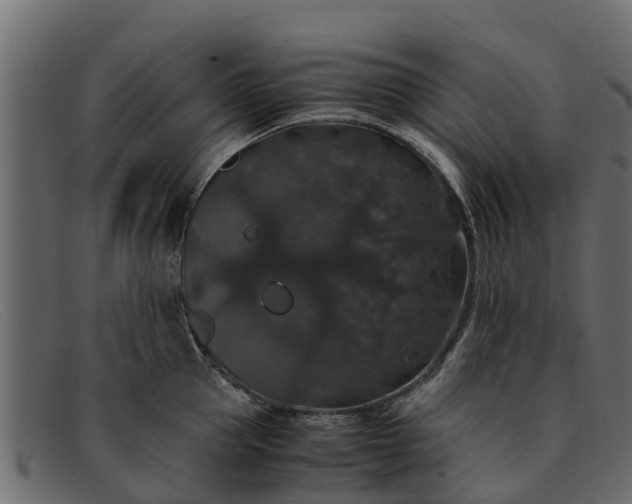 X0000091940953200709191417