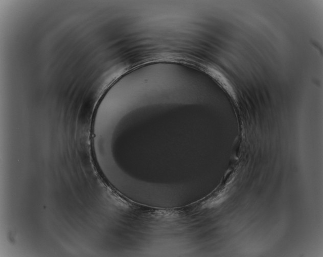 X0000091940954200709191417