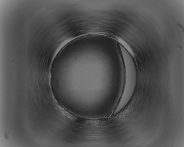 X0000091940955200709191417