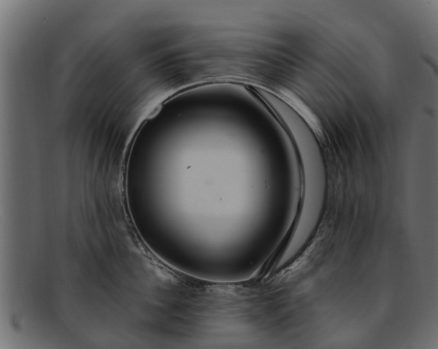 X0000091940956200709191417