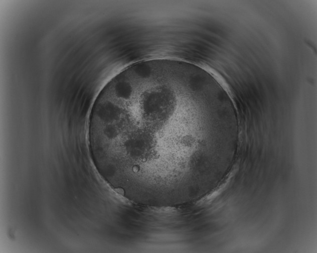 X0000091940957200709191417