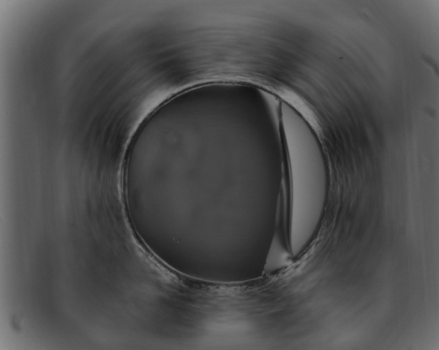 X0000091940958200709191418