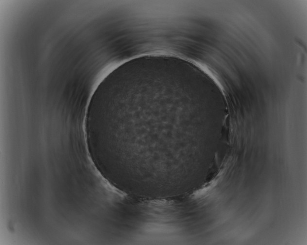 X0000091940959200709191418