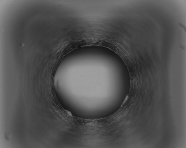 X0000091940961200709191417