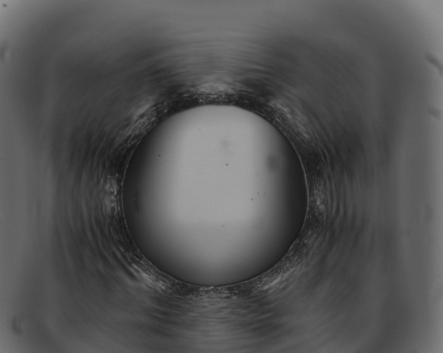 X0000091940964200709191417