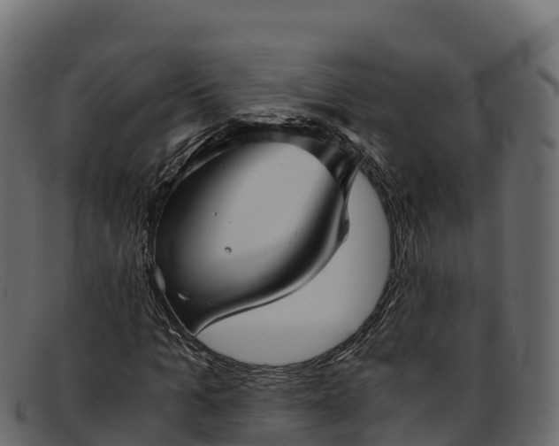 X0000091940965200709191417