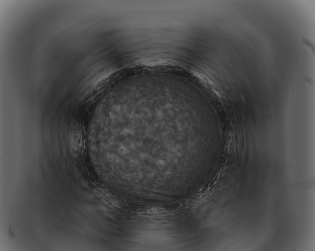 X0000091940966200709191417