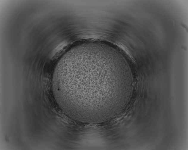 X0000091940967200709191417