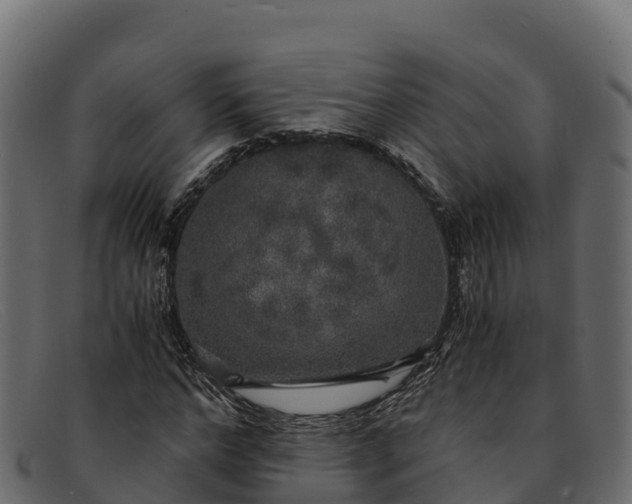 X0000091940968200709191417