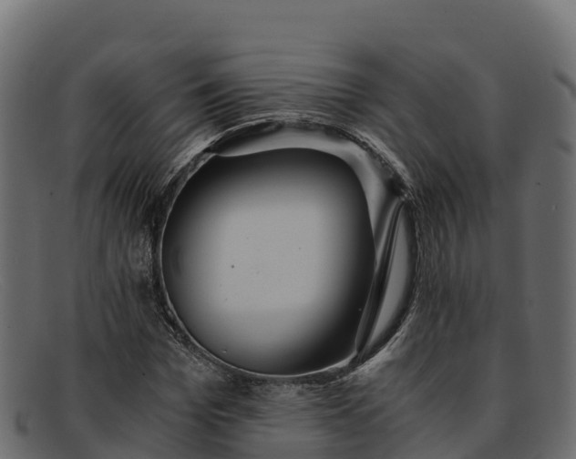 X0000091940969200709191417