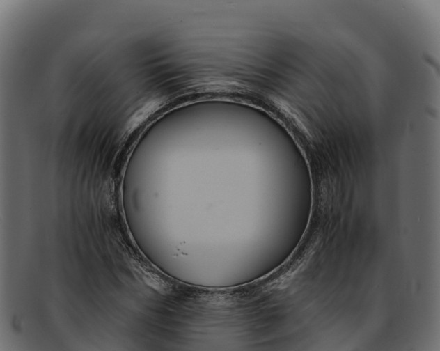 X0000091940970200709191417