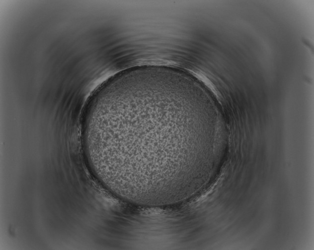 X0000091940971200709191417