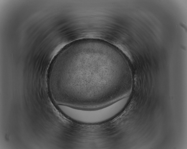 X0000091940972200709191417