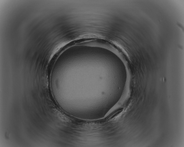 X0000091940973200709191417