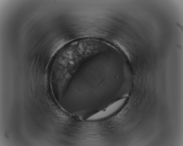 X0000091940975200709191417