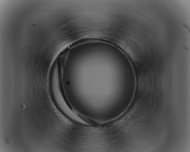 X0000091940976200709191417