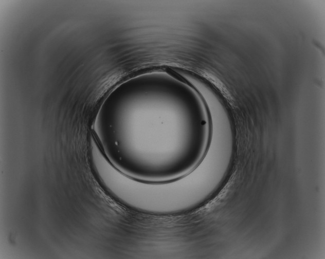 X0000091940977200709191417