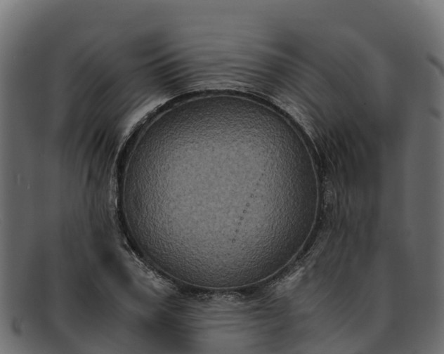 X0000091940979200709191417