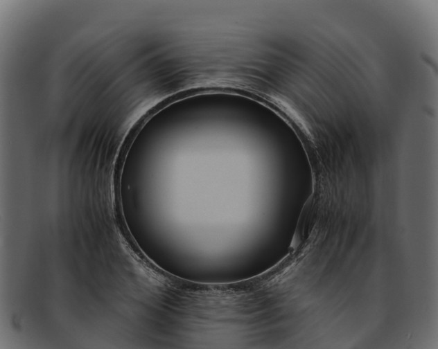 X0000091940980200709191417